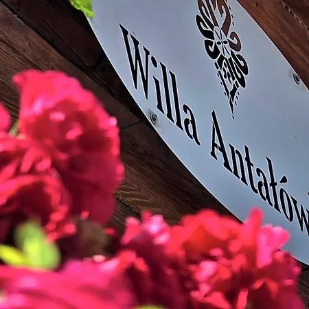 Antalowka